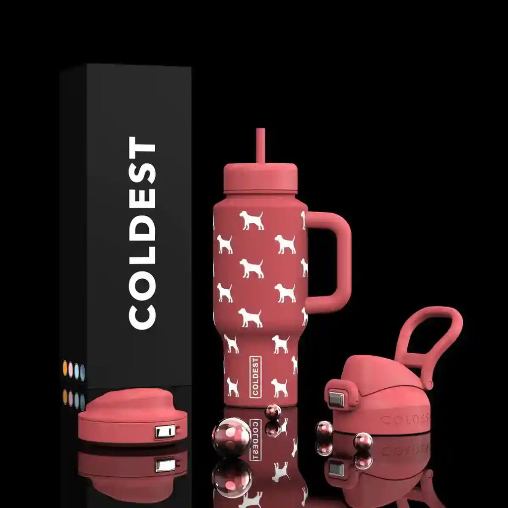 Coldest 24 oz Limitless Insulated Bottle