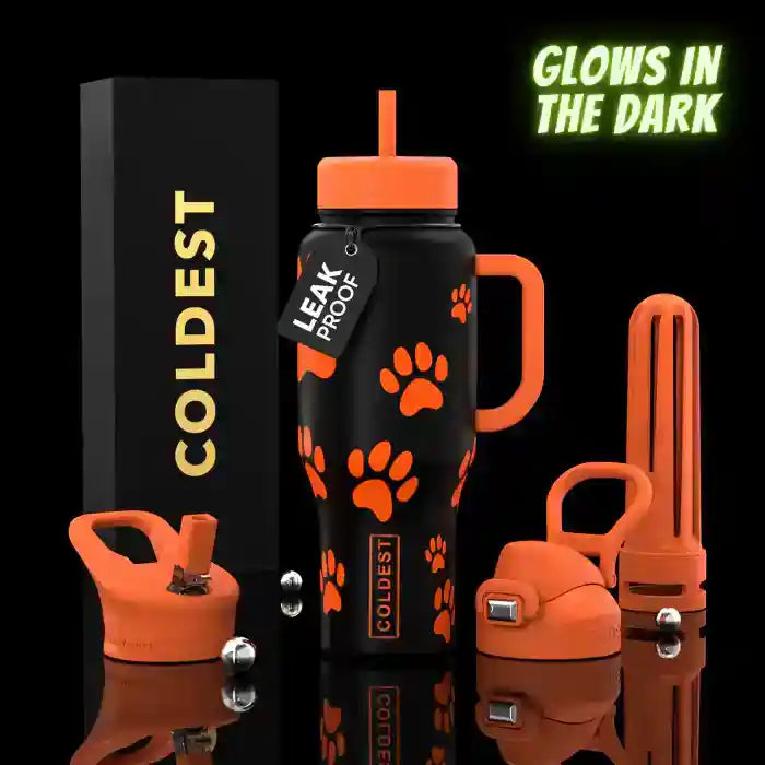 Coldest 36 oz Limitless Insulated Bottle