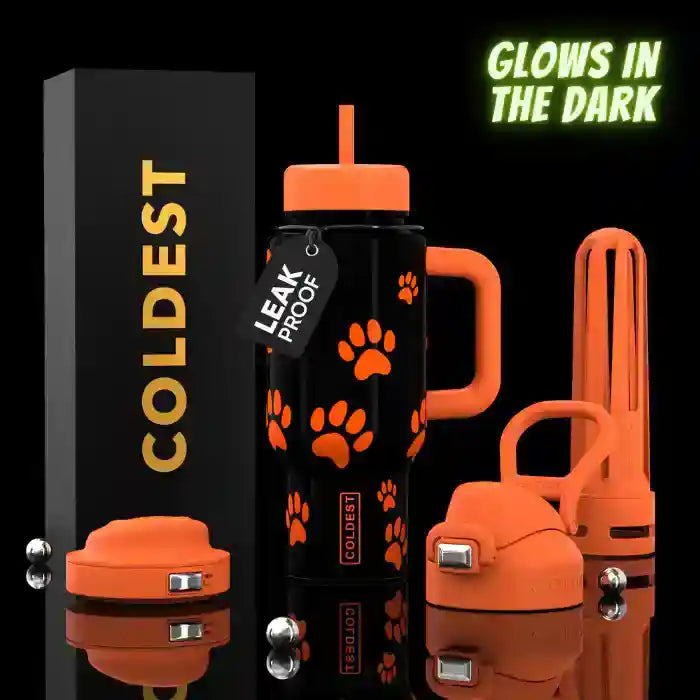 Coldest 24 oz Limitless Insulated Bottle