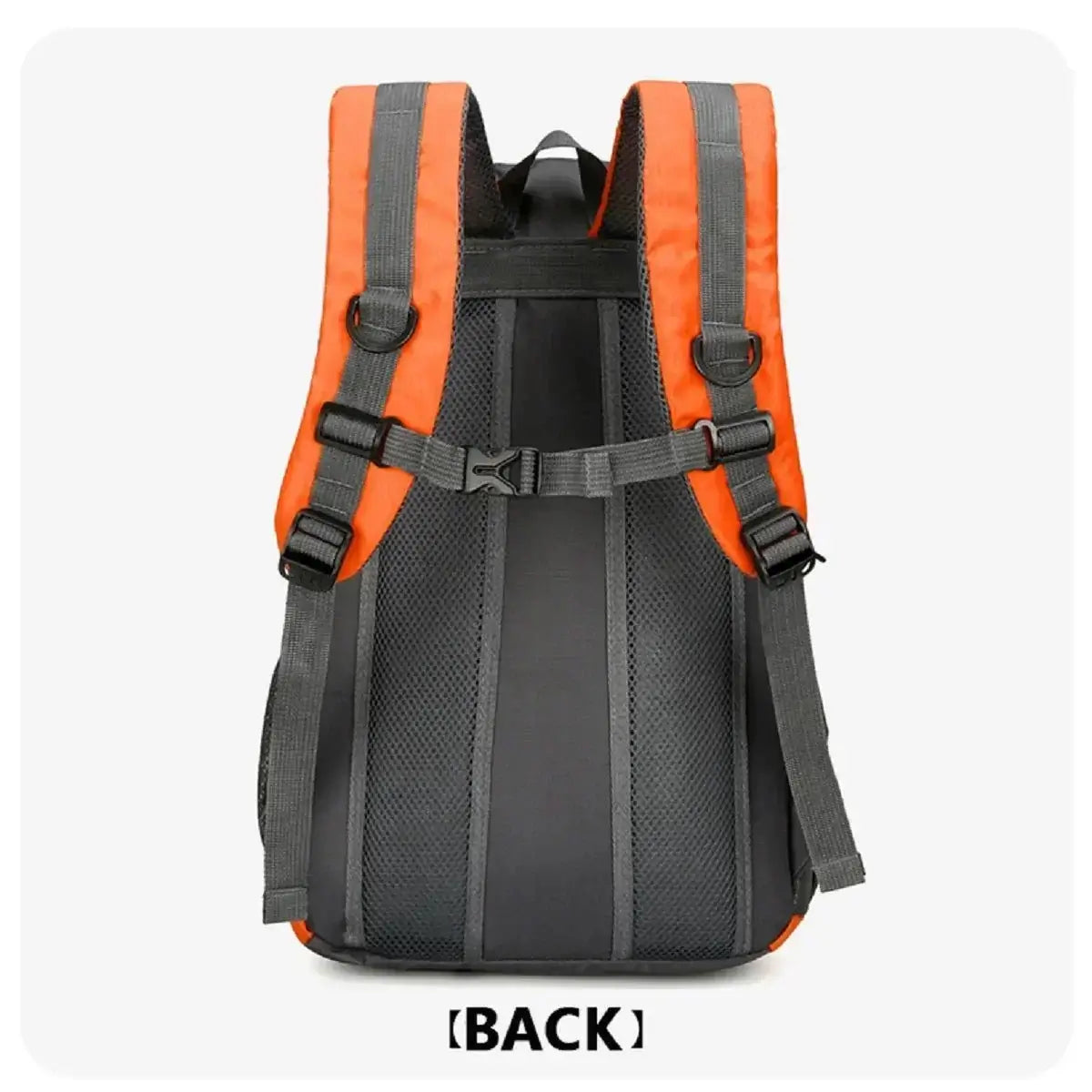 Waterproof Hiking Daypack